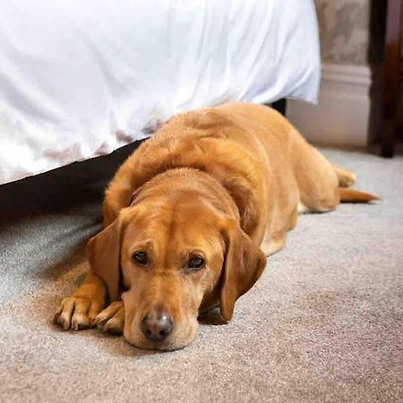 The Stanley Suite 1 Bedroom Apt Dog Friendly Patio Harrogate Eksteriør bilde